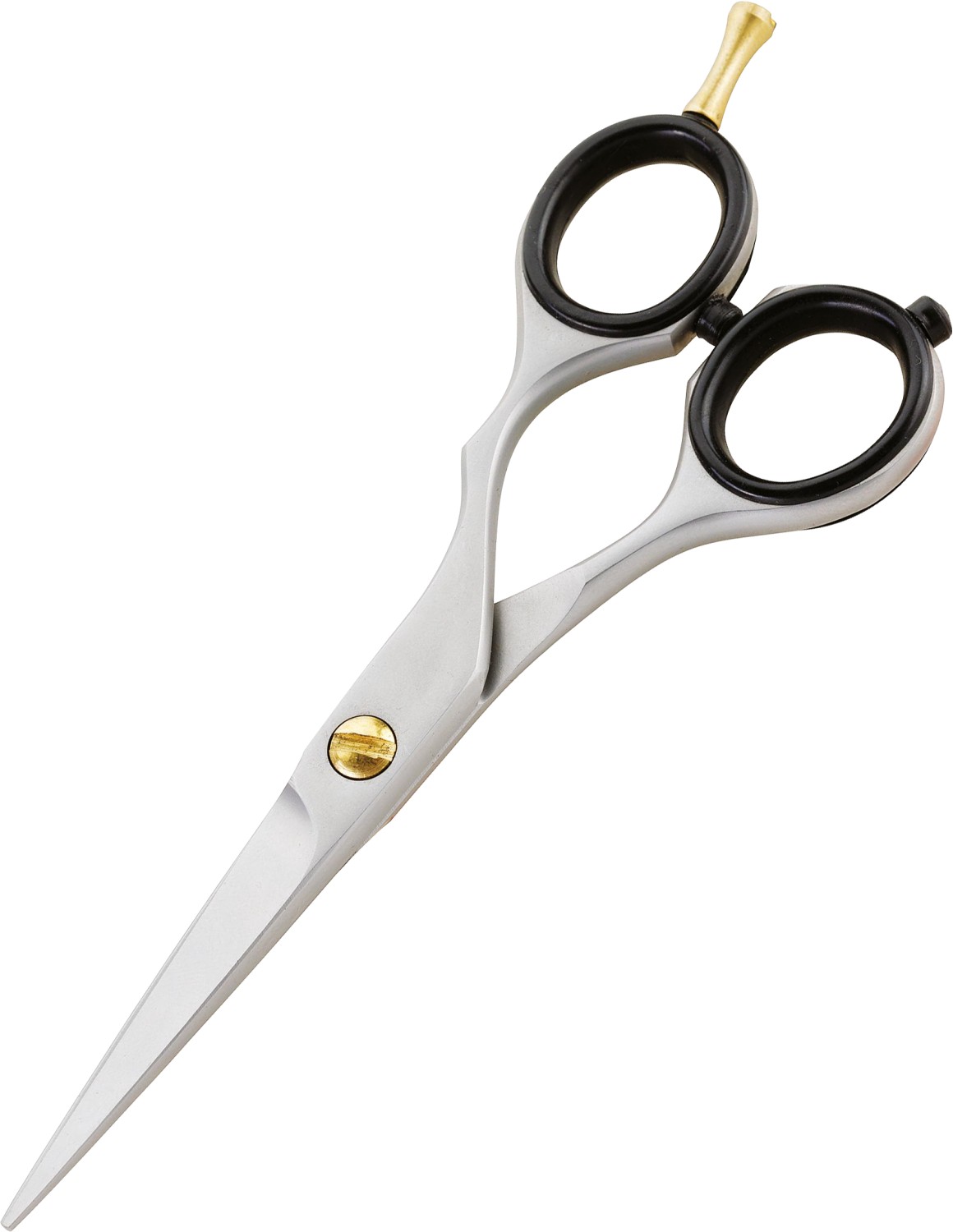 XanitaliaPro Iwasaki Easy Offset 5” XP-370.872