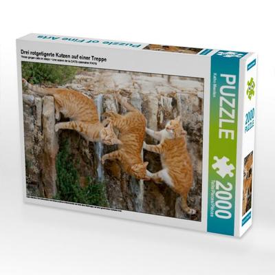 Drei rotgetigerte Katzen auf einer Treppe (Puzzle)