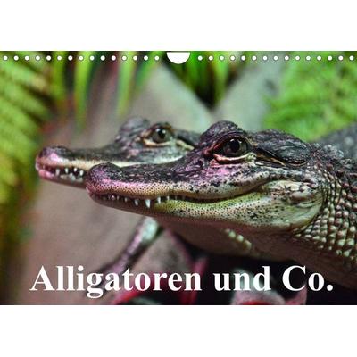 Alligatoren und Co. (Wandkalender 2022 DIN A4 quer)