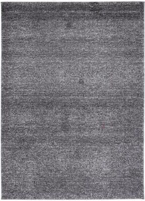 SAFAVIEH Retro Ockeline Modern Rug