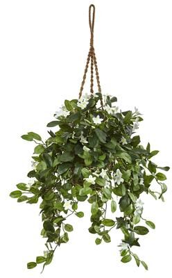 Nearly Natural Stephanotis in Hanging Basket
