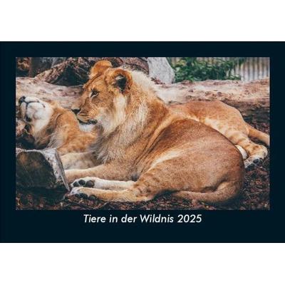 Tiere in der Wildnis 2025 Fotokalender DIN A5