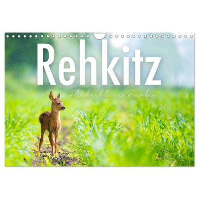Rehkitz - Flinke kleine Bambis. (Wandkalender 2026 DIN A4 quer), CALVENDO Monatskalender