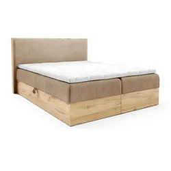 BOXBETT Roland Premium