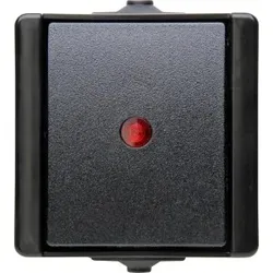 Kopp 541605007 proAQA - Kontrollschalter, Farbe: schwarz