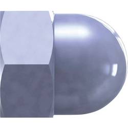 Reisser 31786 Hutmutter M10 50 St.