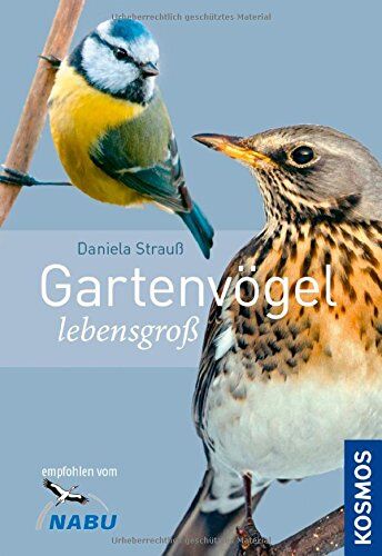 Daniela Strauß - Gartenvögel lebensgroß - Preis vom 10.10.2026 11:48:34 h