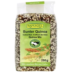 Quinoa bunt