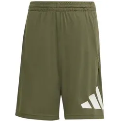 ADIDAS Kinder Shorts TRAIN ESSENTIALS BIG LOGO SHORTS, Größe 128 in Grün Grün