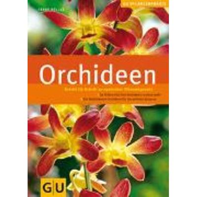 Orchideen, Gebundene Ausgabe von Frank Röllke, Gräfe & Unzer