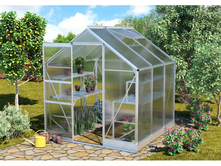Gewächshaus VITAVIA Apollo 3800 , silber (silberfarben), B:195cm T:199cm, Gewächshäuser, Gewächshaus