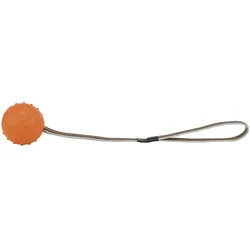 3x Trixie Sporting Ball am Gurt 35cm ø 6cm (Ballspielzeug Hund), Hundespielzeug
