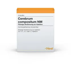 Cerebrum Compositum NM Ampullen 100 St