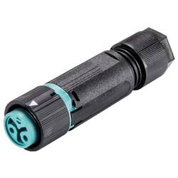 Wieland Electric 46.031.4951.6 Steckverbinder