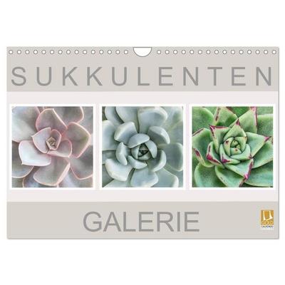 Sukkulenten Galerie (Wandkalender 2027 DIN A4 quer), CALVENDO Monatskalender
