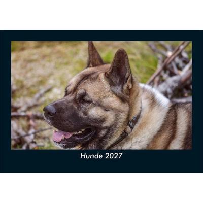 Hunde 2027 Fotokalender DIN A5