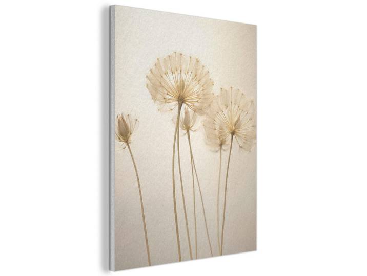 MuchoWow Akustikbild - Sonnenlicht - Löwenzahn - Botanisch - Blumen - 70x100, Creme, Kunststoff, Rechteckig, 70x100x0.9 cm, Wandverkleidung, Akustikpaneele