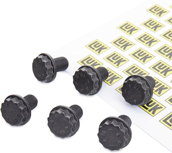 LuK 411 0156 10 Screw Set, flywheel