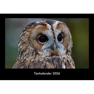 Tierkalender 2026 Fotokalender DIN A3