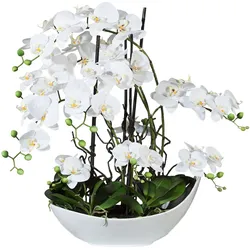 CREATIV green künstliche Pflanze Phalaenopsisarrangement, 68cm, "Real Touch"