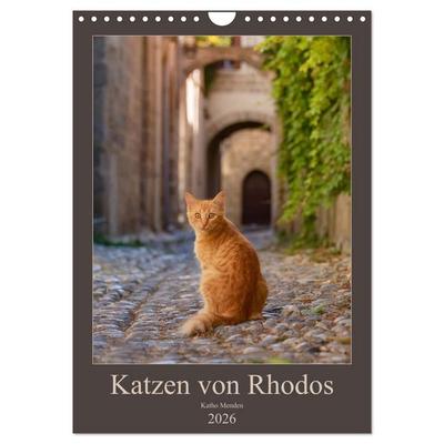 Katzen von Rhodos (Wandkalender 2026 DIN A4 hoch), CALVENDO Monatskalender