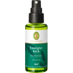 Primavera Raumspray Energiekick bio