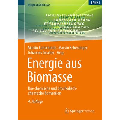 Energie aus Biomasse, Gebundene Ausgabe von , Springer Fachmedien Wiesbaden GmbH, 978-3-658-41385-9