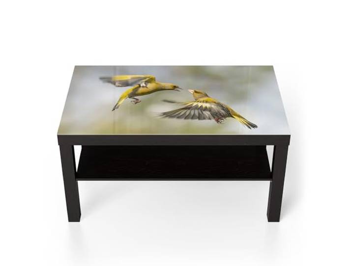 DEQORI Glastisch schwarz groß 90x50 cm Motiv Flügelschlag Duett ausgefallener Beistelltisch aus Glas Hochglanz Couchtisch fürs Wohnzimmer moderner Couch Tisch mit Design
