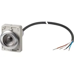 Eaton Drucktaste flach rastend C30C-FDR-X-K20-P65