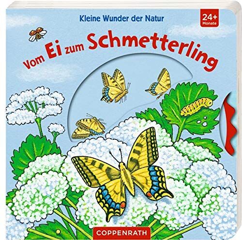 Kleine Wunder der Natur: Vom Ei zum Schmetterling - Preis vom 13.10.2026 19:28:25 h