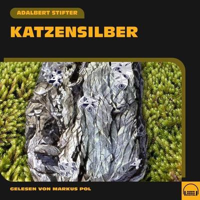 Katzensilber - Adalbert Stifter, Audio, 9783991551768