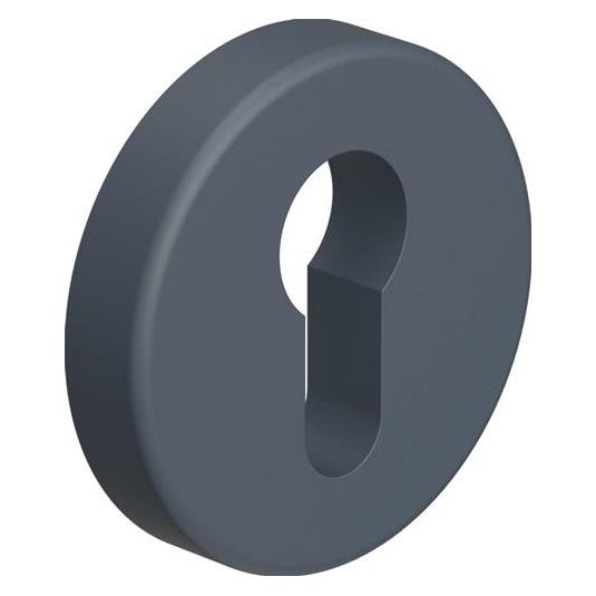 Hewi Schlüsselrosette 306.23PBLN 99 Kunststoff 99 Schildstärke 10,5 mm PZ rund (Türgriff) (306.23PBLN 99)