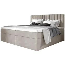 BOXBETT Linnea
