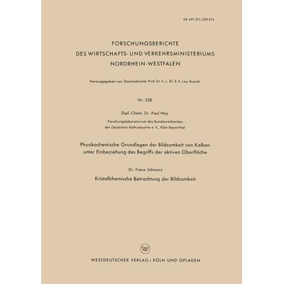 Physikochemische Grundlagen der Bildsamkeit von Kalken unter Einbeziehung des Begriffs der aktiven Oberfläche, Taschenbuch von Paul Ney, VS Verlag für