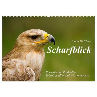 Scharfblick (Wandkalender 2027 DIN A2 quer), CALVENDO Monatskalender