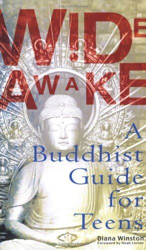 Diana Winston - Wide Awake: Buddhism for the New Generation - Preis vom 30.09.2026 09:01:18 h