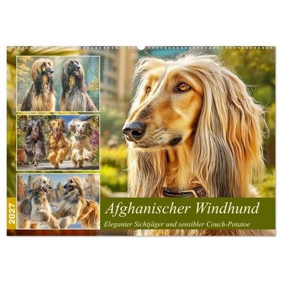 Afghanischer Windhund. Eleganter Sichtjäger und sensibler Couch-Potatoe (Wandkalender 2027 DIN A2 quer), CALVENDO Monatskalender