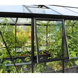 Vitavia Seitenfenster Z mit ESG, schwarz