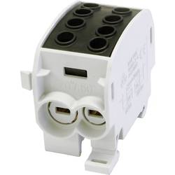 HoraeTec 080310-4-3 Hauptleitungsabzweigklemme Messing, PA Lichtgrau (RAL 7035), Tiefschwarz (RAL 9005) 1polig 160 A 690 V Leiter-Typ = L