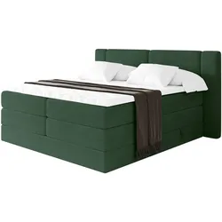 BOXSPRINGBETT mit Matratze H3/H4 - EVON KING - 140x200 cm Grün