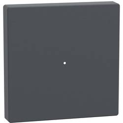 Schneider Electric MTN625114 SPS-Zubehör