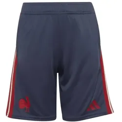 adidas Ffr Gym kurze Hose Kinder - shanav - 176