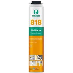 All-Wetter-Schaum 818 B2 NBS (Deutschland) 800ml Dose