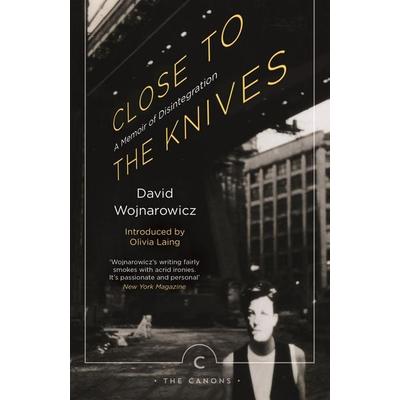 Close to the Knives, Taschenbuch von David Wojnarowicz, Canongate Books Ltd., 978-1-78689-027-6