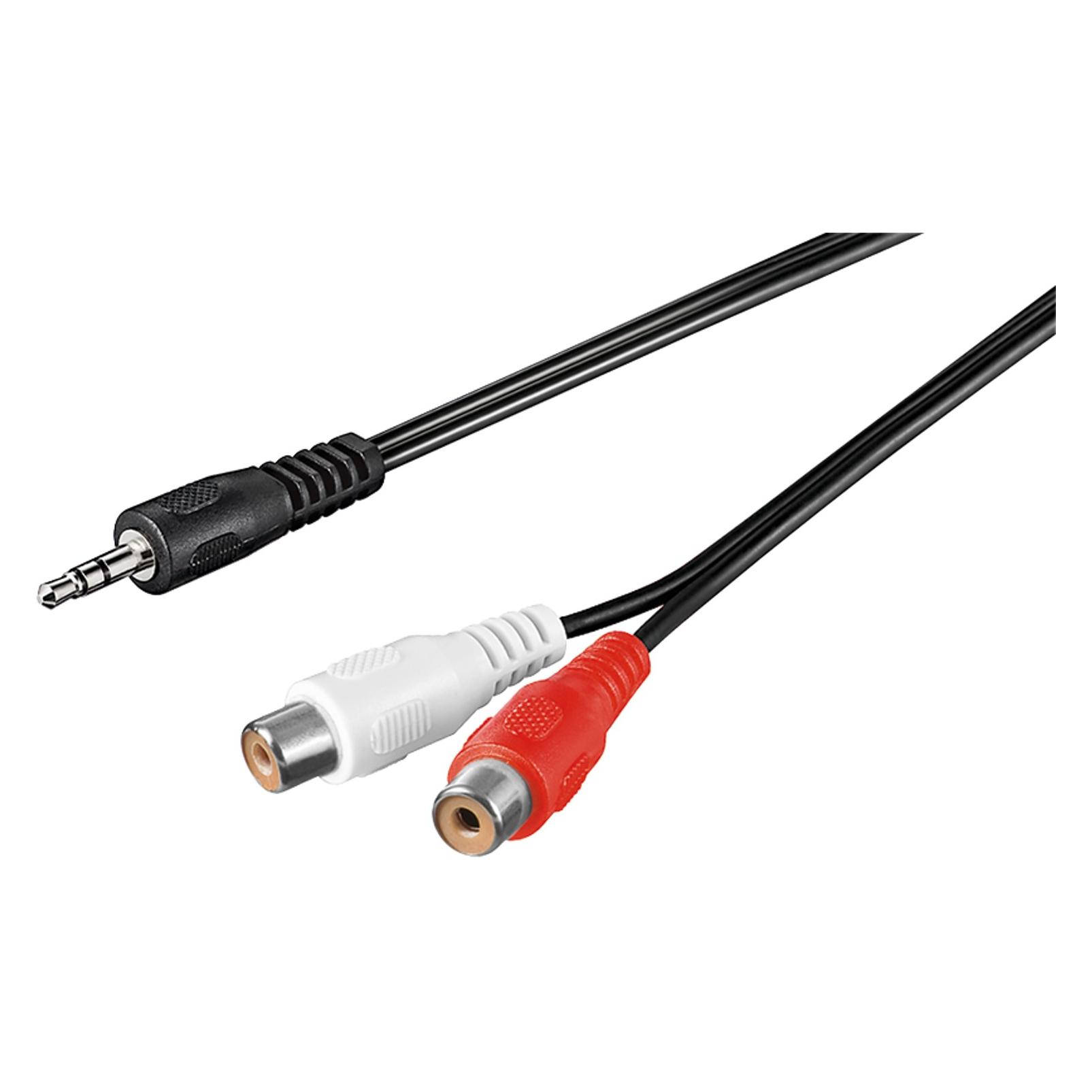 Goobay Audio Kabeladapter 3,5 mm, Stecker zu stereo Cinch Buchse (Klinkenadapter) (50116)