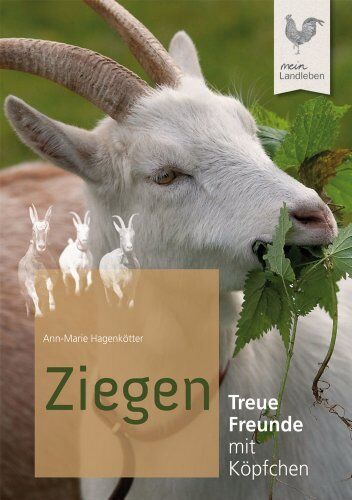 Ann-Marie Hagenkötter - Ziegen: Treue Freunde mit Köpfchen - Preis vom 09.10.2026 07:28:09 h
