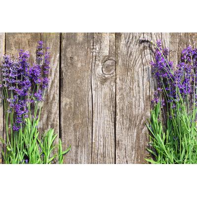 Fototapete PAPERMOON "Blumen an Holzwand", bunt, B:3,5m L:2,6m, Vlies, Tapeten