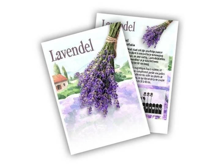 Cadeau premium Lavendel (100 zakjes)