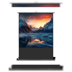 celexon Leinwand Ultramobil Professional Plus 120 x 120 cm - 67`