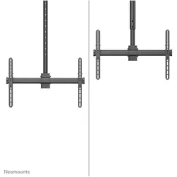 Neomounts CL35-440BL16L (Decke, 50 kg, 37" - 70"), TV Wandhalterung, Schwarz